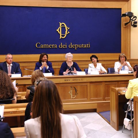 Conferenza stampa per illustrare la fondazione dell'Alleanza Italiana Malatie Rare.