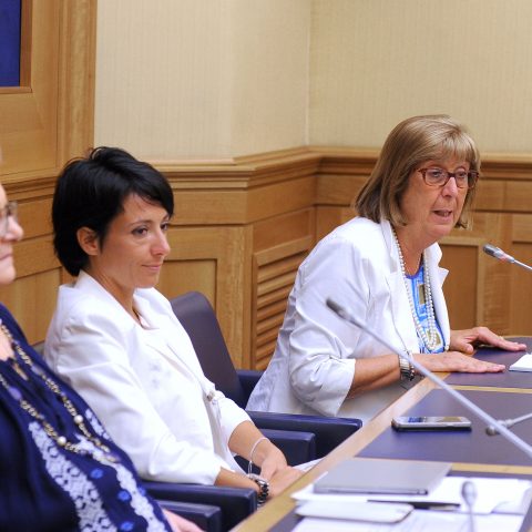 Conferenza stampa per illustrare la fondazione dell'Alleanza Italiana Malatie Rare.