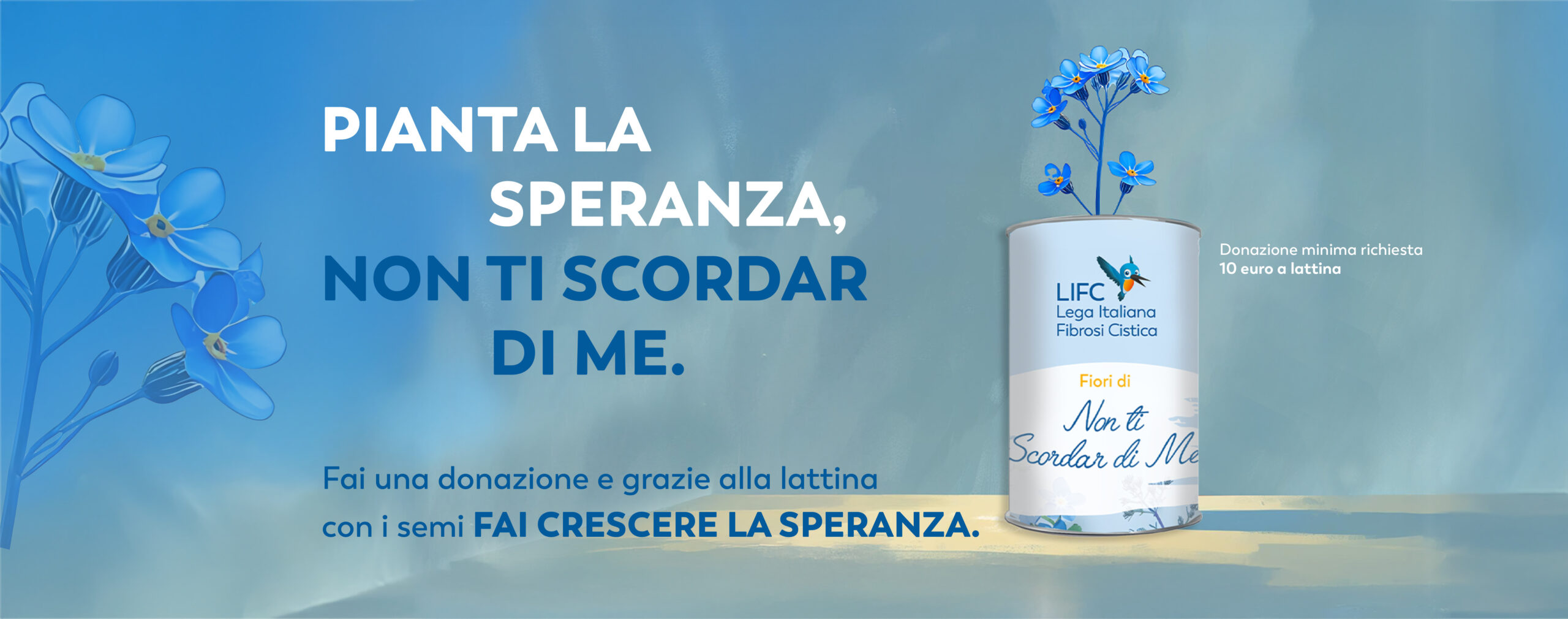 Pianta la speranza, non ti sprdar di me. fai una donazione.